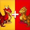 新橘子视频